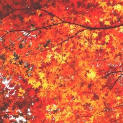 L’equinozio di autunno, ovvero quando il giorno e la notte si incontrano