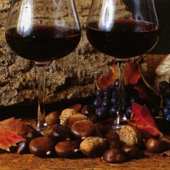 A San Martino ogni mosto diventa vino