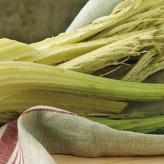 Flan di gobbi lardellati con cuore di carciofo croccante adagiati su vellutata di pecorino a pasta molle