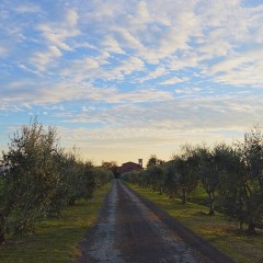 Beautiful scenery, fascinating rural structures, people and a “sense of history”.