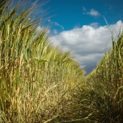 Birragricola, vi raccontiamo la nostra terra